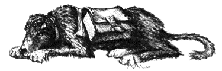 Noamy